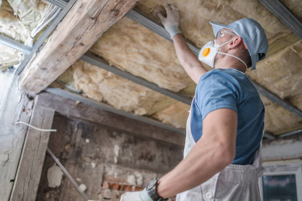Best DIY Insulation Kits and Guidance in Tryon, NC